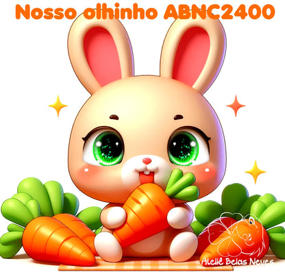 Olhos RESINADOS ABNC2400