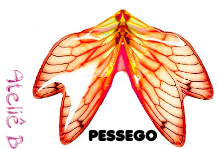 Caudas RESINADAS SEREIAS ABNCAUDA70