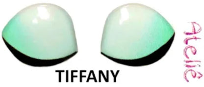 Palpebras RESINADAS ABNHPALPEBRA00