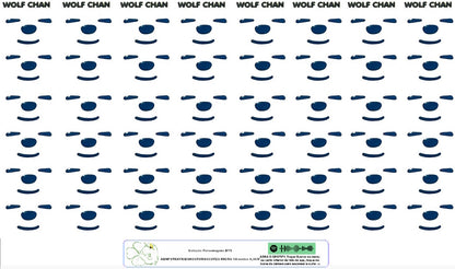 Rostos RESINADOS ABNPSTRAYKIDSROSTOSMASCOTES - MASCOTES SKZOO